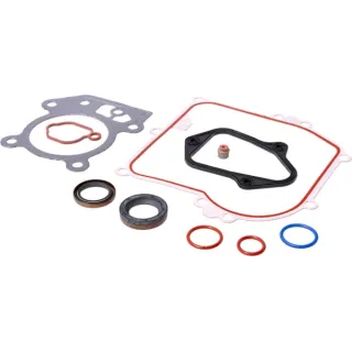 Gasket set, engine  84006586 Briggs & Stratton 84001272