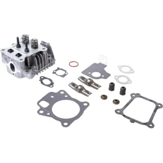Cylinder head  84003960 Briggs & Stratton 796471