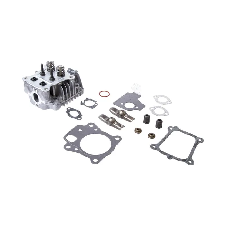 Cylinder head  84003960 Briggs & Stratton 796471