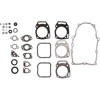Blīvju komplekts 841188 Briggs & Stratton