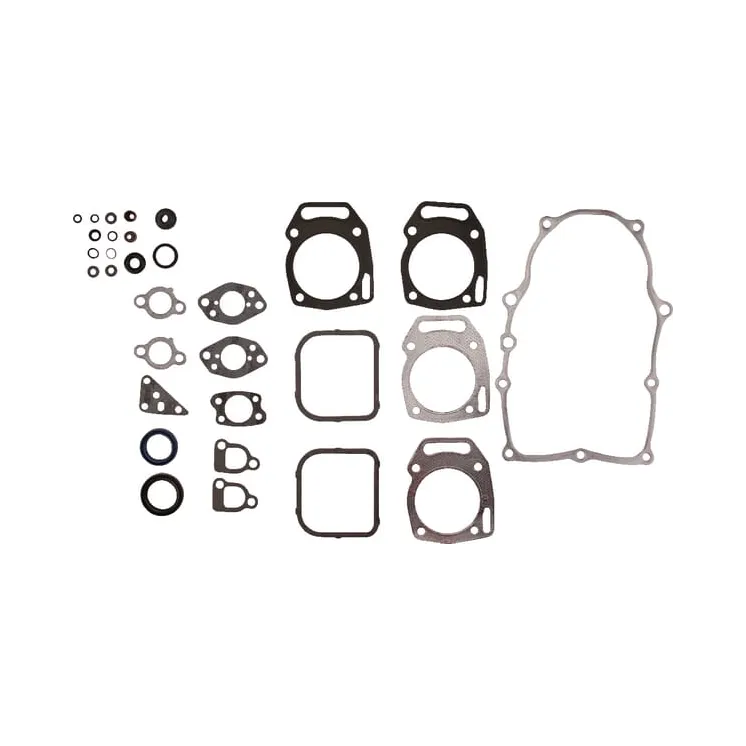 Blīvju komplekts 841188 Briggs & Stratton