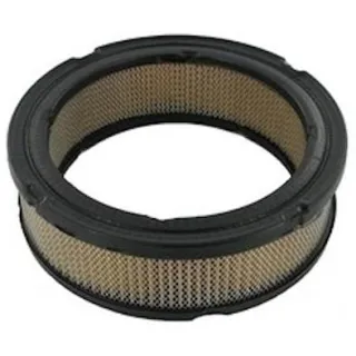 Air filter  841359 Briggs & Stratton