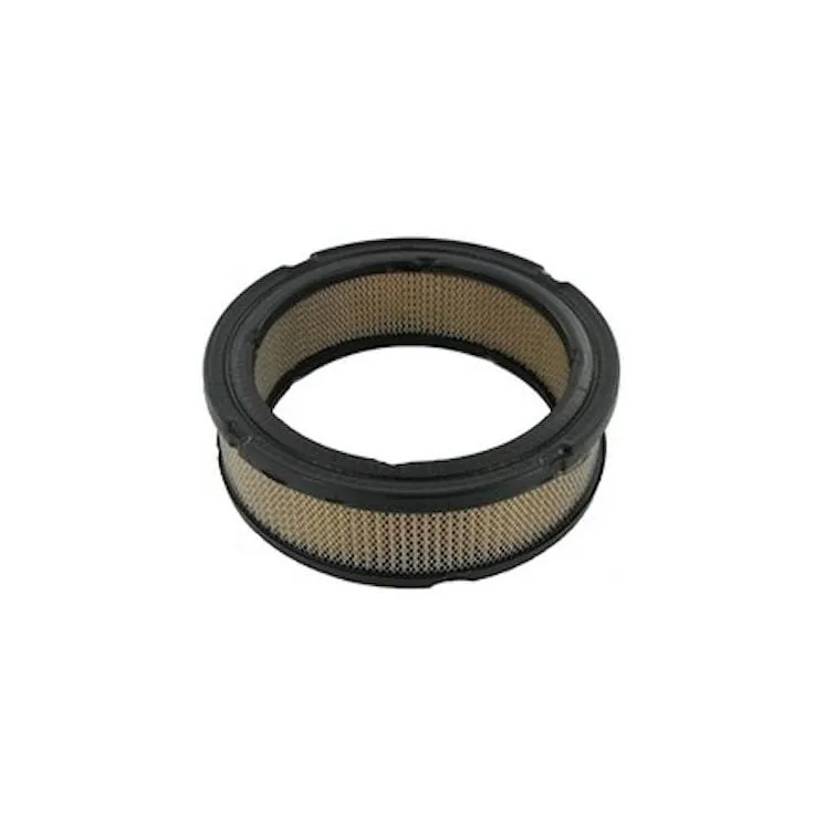 Air filter  841359 Briggs & Stratton