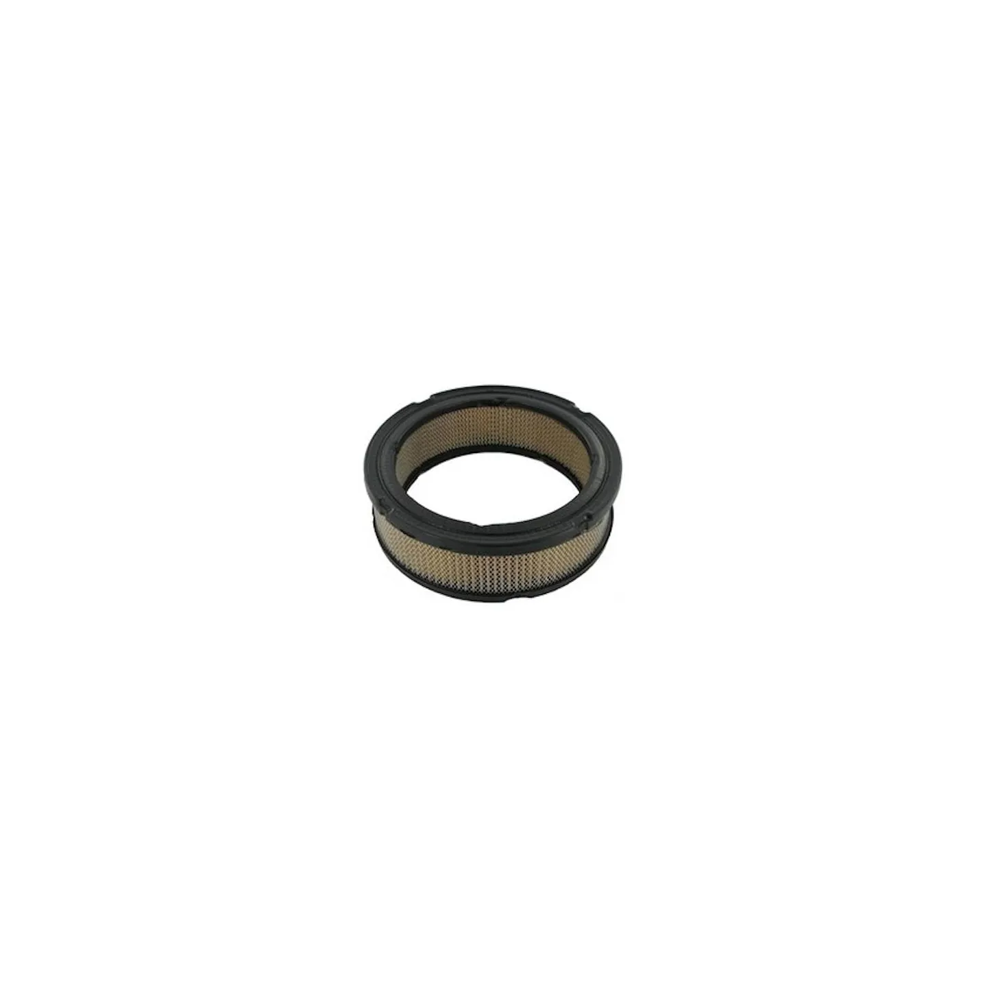 Air filter  841359 Briggs & Stratton