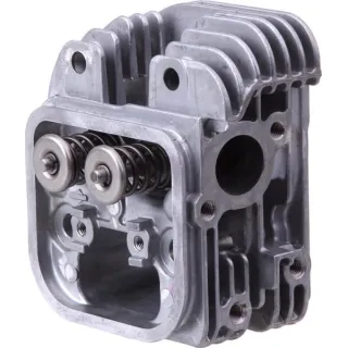 Cylinder head  84002013 Briggs & Stratton