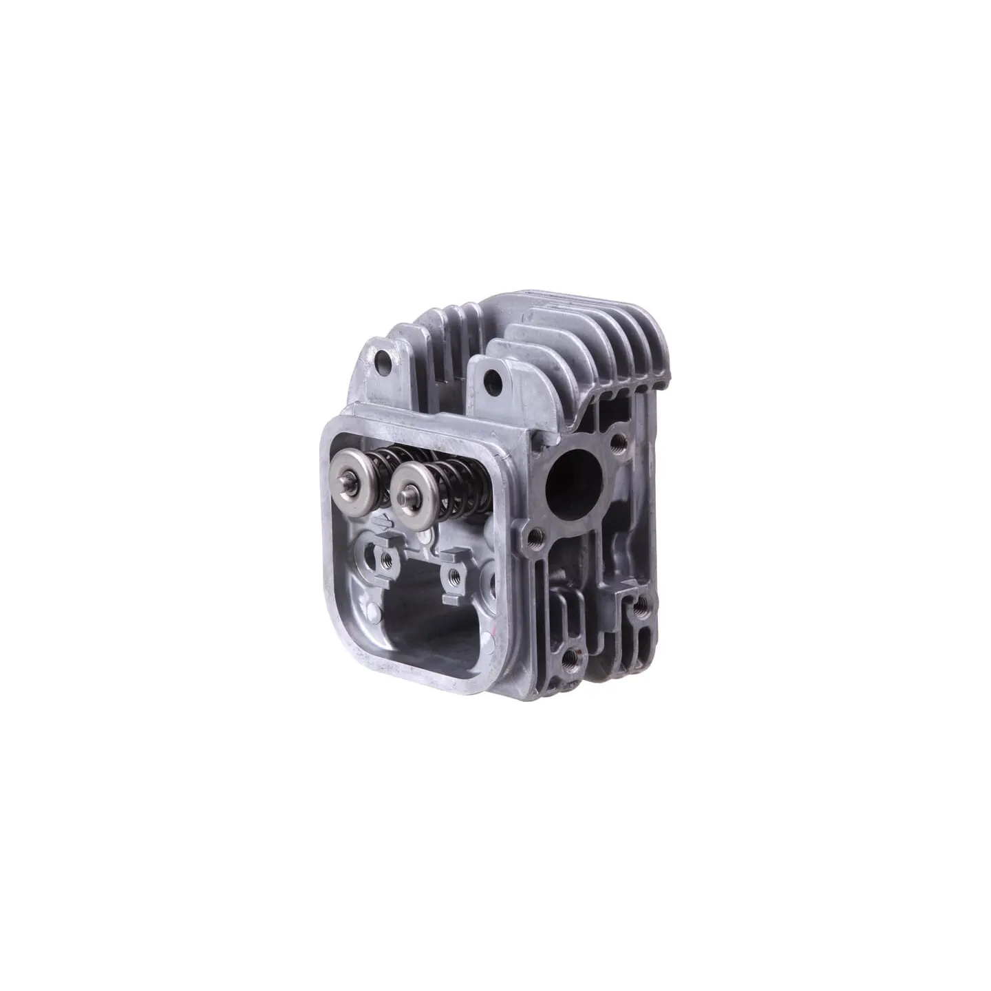 Cylinder head  84002013 Briggs & Stratton