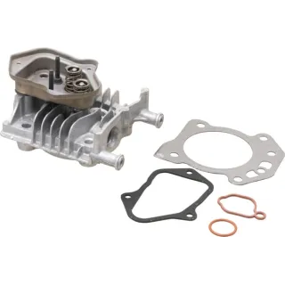 Cylinder head  84006590 Briggs & Stratton 595353