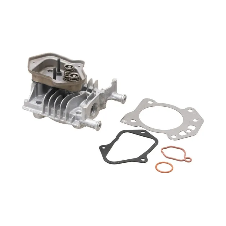 Cylinder head  84006590 Briggs & Stratton 595353