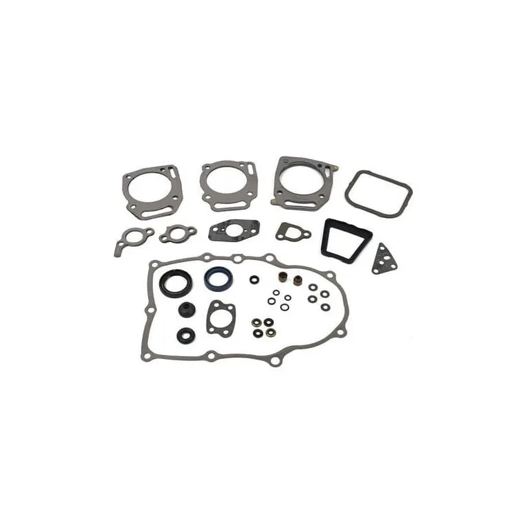 Gasket set  84006737 Briggs & Stratton 808704 842722