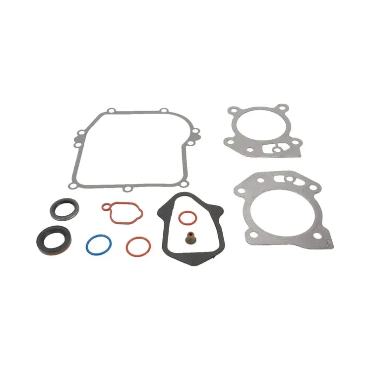Engine gasket set  84006582 Briggs & Stratton 592640 595350