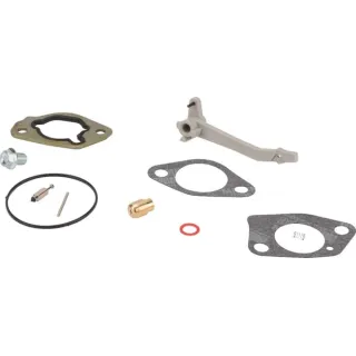 Carburettor overhaul kit  84004389 Briggs & Stratton 590453