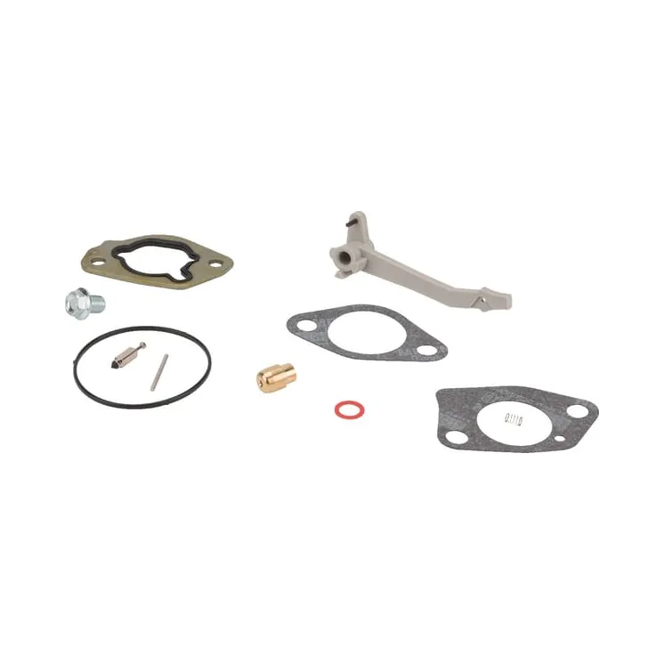 Carburettor overhaul kit  84004389 Briggs & Stratton 590453