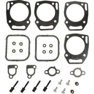 Valve seal set  841191 Briggs & Stratton