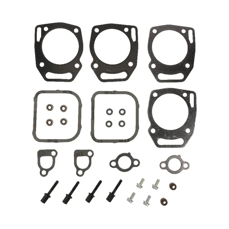 Valve seal set  841191 Briggs & Stratton