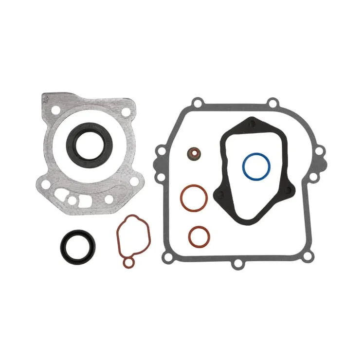 Gasket set-engine  84006591 Briggs & Stratton 594114 595354