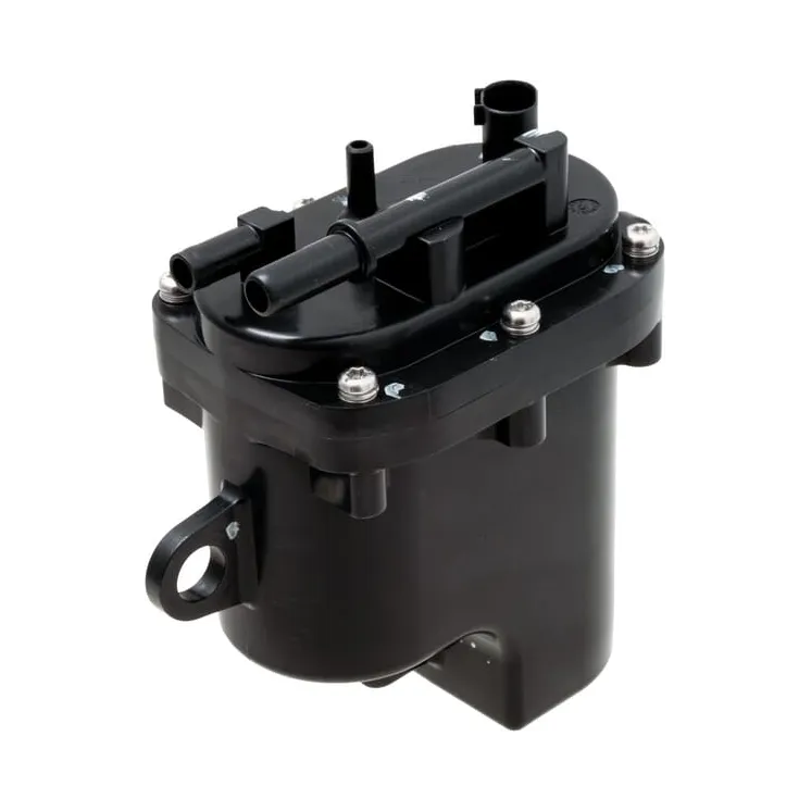 Module-fuel pump  84006568 Briggs & Stratton 593890