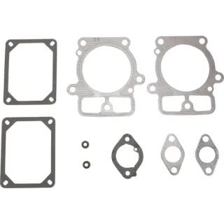 Gasket set-valve  84001916 Briggs & Stratton 594214