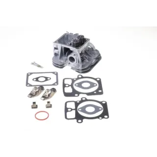Cylinder head  84001919 Briggs & Stratton 796232