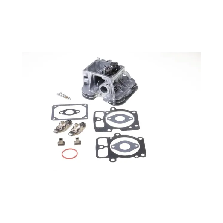 Cylinder head  84001919 Briggs & Stratton 796232