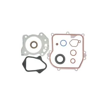 Blīvju komplekts Dzinējs 84006587 Briggs & Stratton 84001273