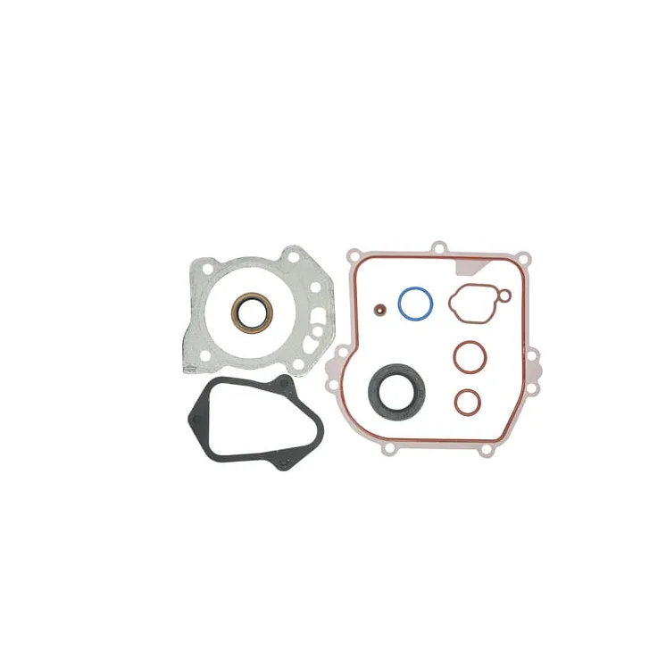 Gasket set  Engine  84006587 Briggs & Stratton 84001273