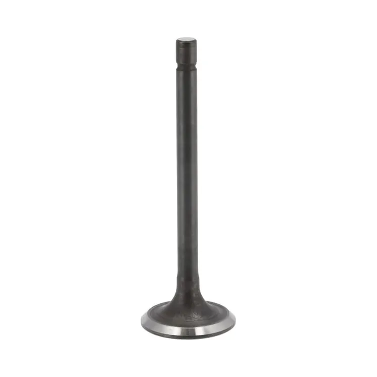 Valve-exhaust  843752 Briggs & Stratton