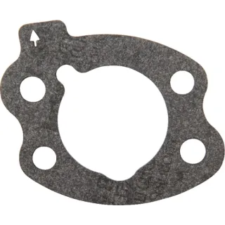Briggs air filter seal  844931 Briggs & Stratton