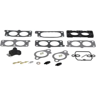 Carburettor overhaul kit  843297 Briggs & Stratton