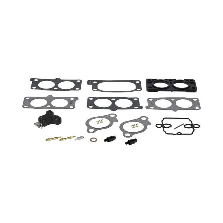 Carburettor overhaul kit  843297 Briggs & Stratton