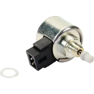 Solenoid fuel  841546 Briggs & Stratton