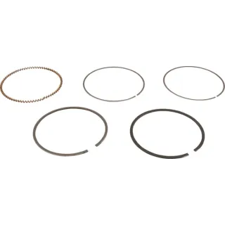 Piston ring set  843806 Briggs & Stratton