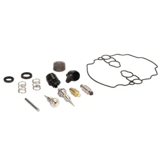 Carburettor repair kit  842873 Briggs & Stratton 808816 842875