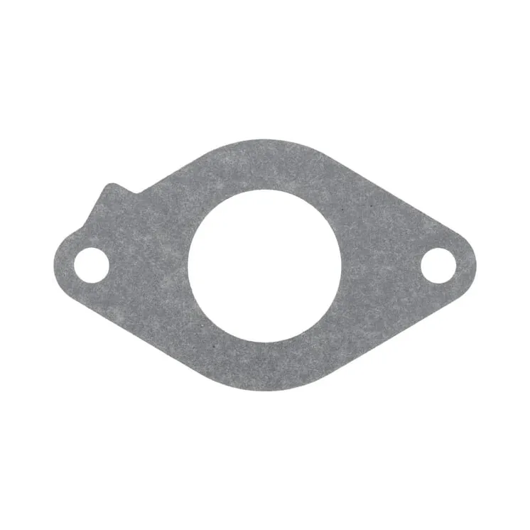 Intake gasket  846473 Briggs & Stratton