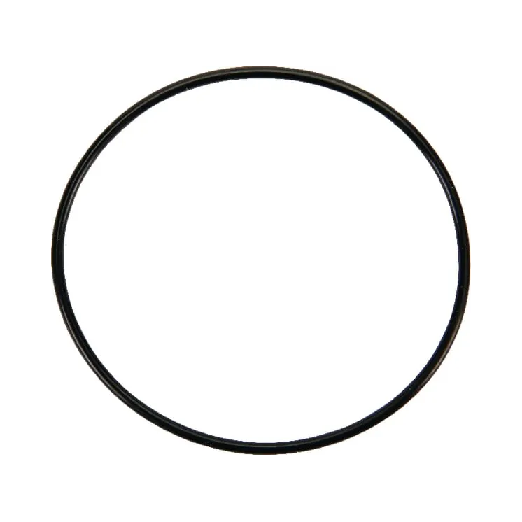 Gasket float bowl  841651 Briggs & Stratton