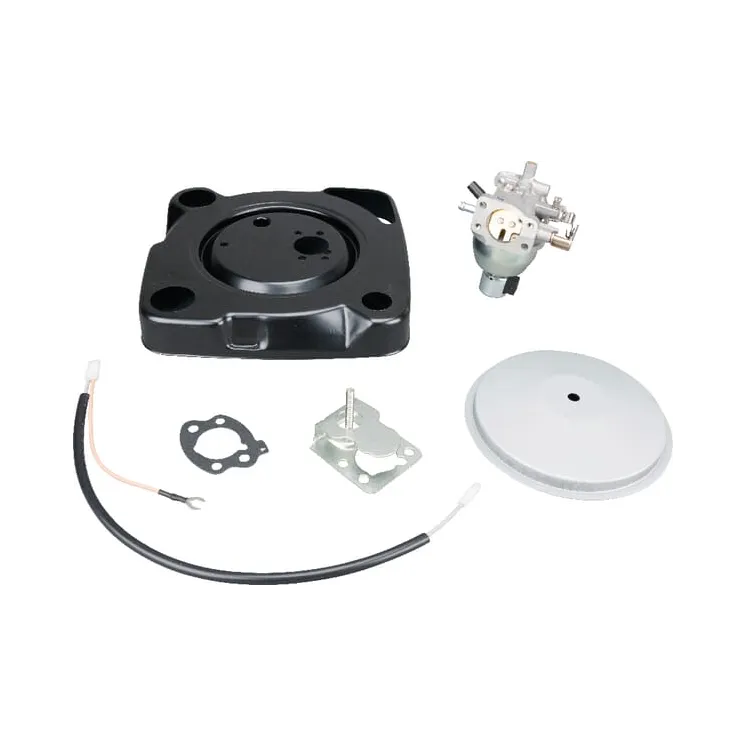 Karburators 846944 Briggs & Stratton 846108
