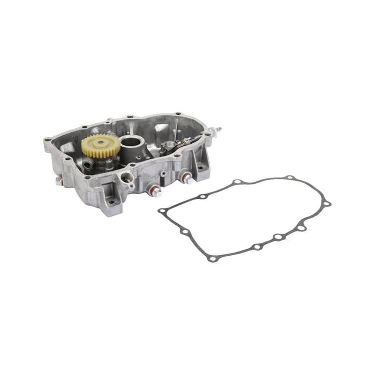 Kartera vāks ar eļļas sūkni 843954 Briggs & Stratton 808846