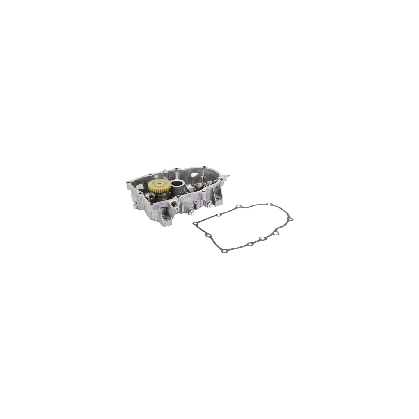 Kartera vāks ar eļļas sūkni 843954 Briggs & Stratton 808846