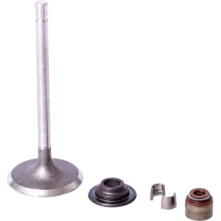 Intake valve  843730 Briggs & Stratton