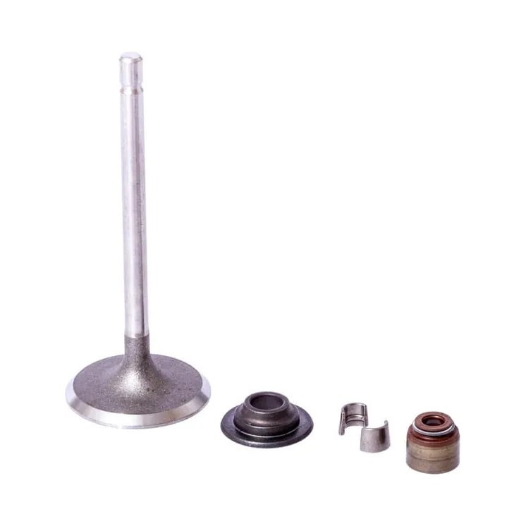 Intake valve  843730 Briggs & Stratton