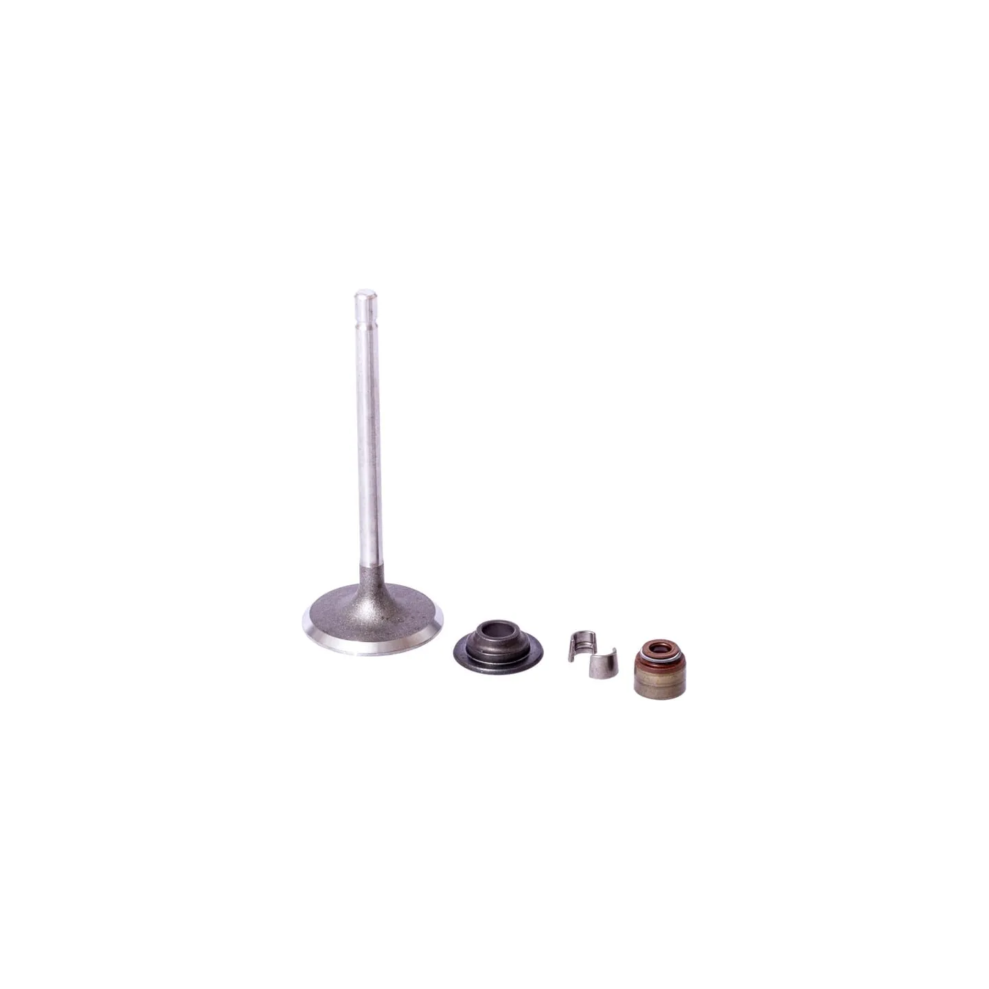 Intake valve  843730 Briggs & Stratton