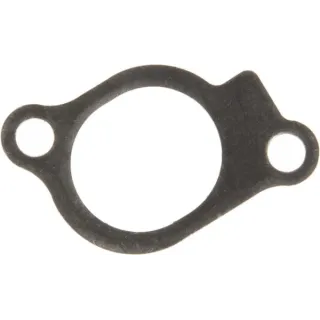Intake gasket  847671 Briggs & Stratton 841592