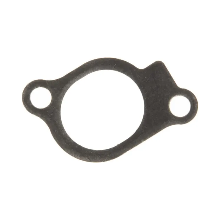 Intake gasket  847671 Briggs & Stratton 841592