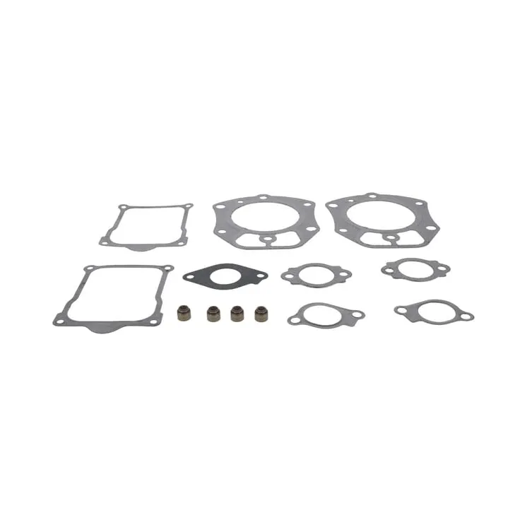 Valve gasket set  846672 Briggs & Stratton