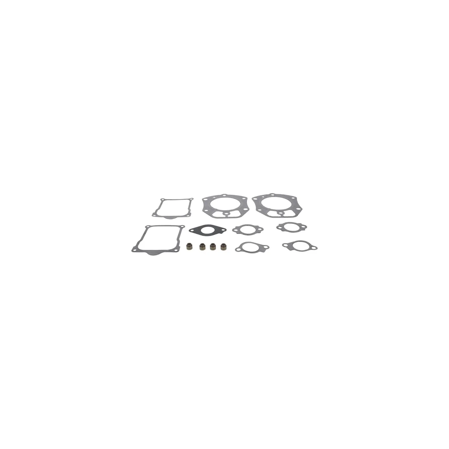 Valve gasket set  846672 Briggs & Stratton