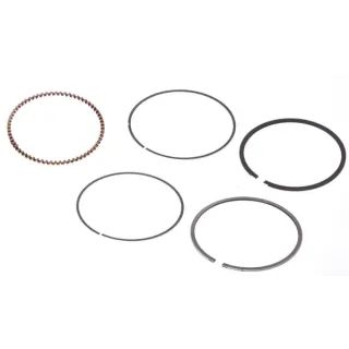 Ring set  843953 Briggs & Stratton
