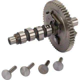Camshaft  845649 Briggs & Stratton