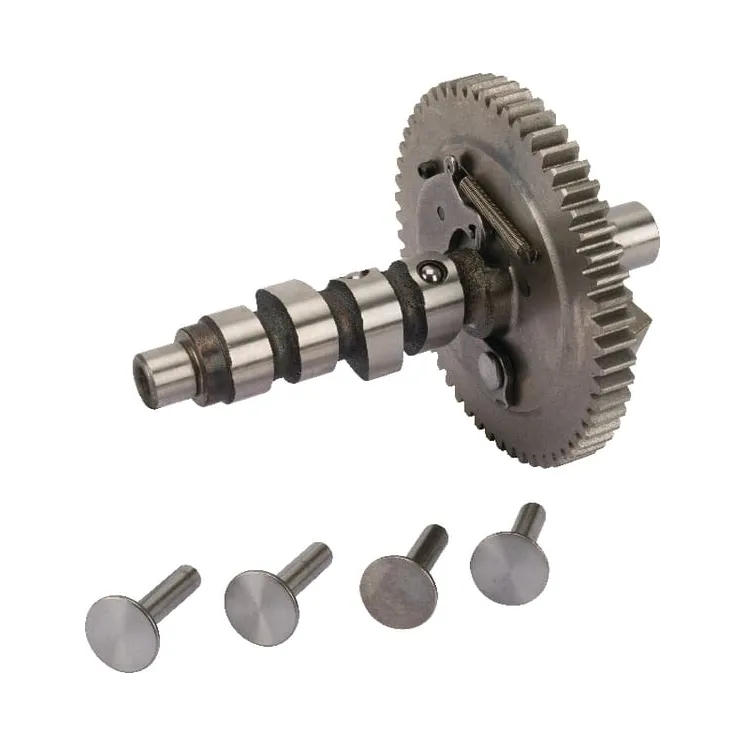 Camshaft  845649 Briggs & Stratton