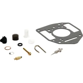 Carburettor repair kit  842877 Briggs & Stratton 809022
