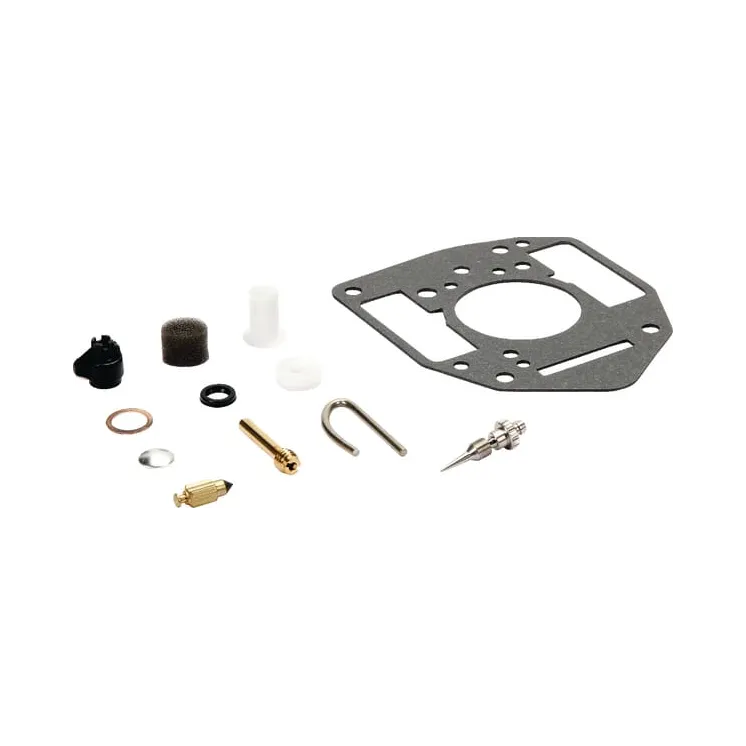 Carburettor repair kit  842877 Briggs & Stratton 809022