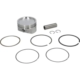 Piston assembly  843805 Briggs & Stratton